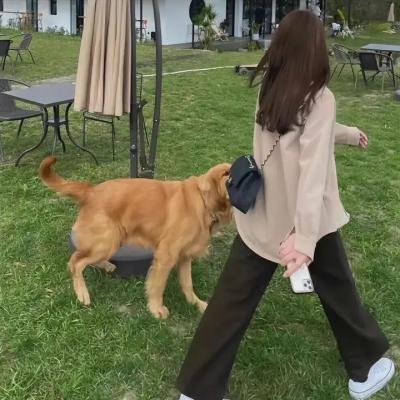 父母